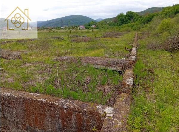 земля продам село Неліпино, фото 1 з 11