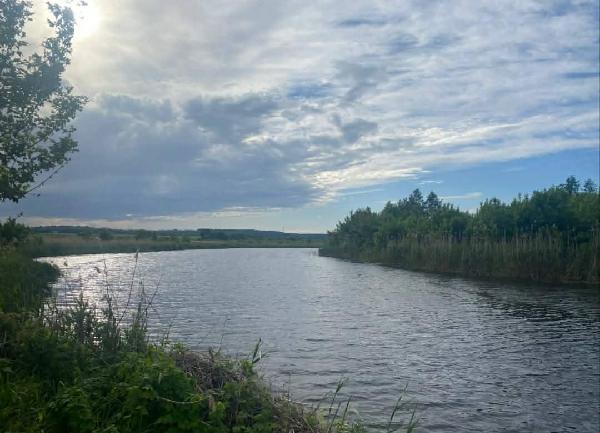 земля продам село Бовкун, фото 10 з 12