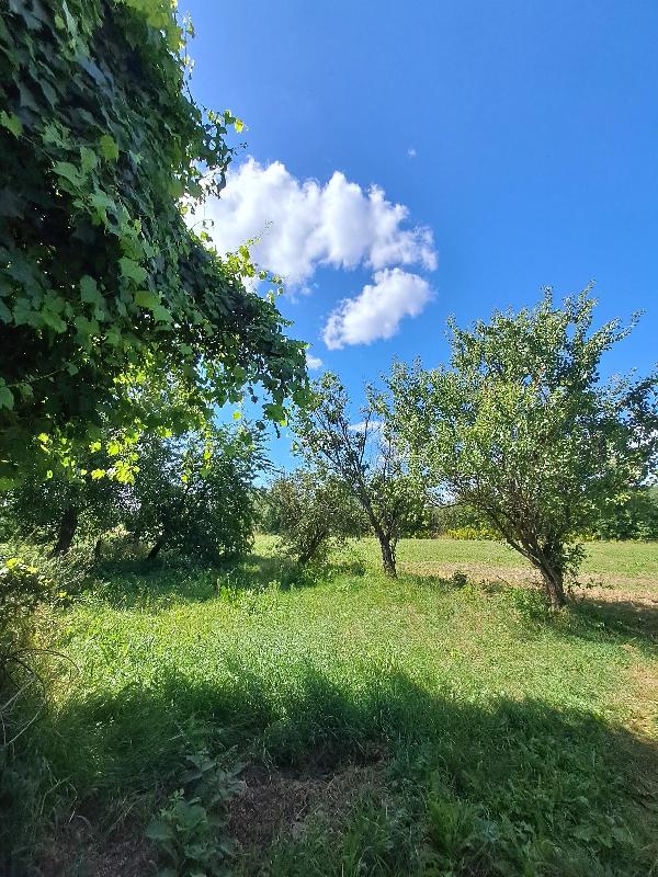будинок продам село Глибочиця, фото 16 з 20