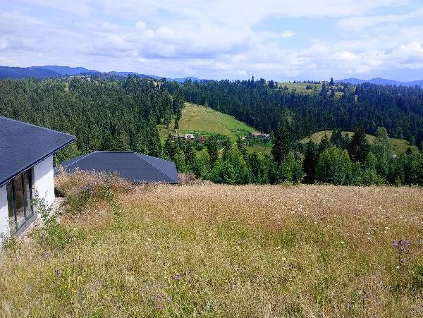 земля продам село Яблуниця, фото 3 з 3