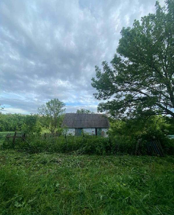 земля продам село Бовкун, фото 7 з 12