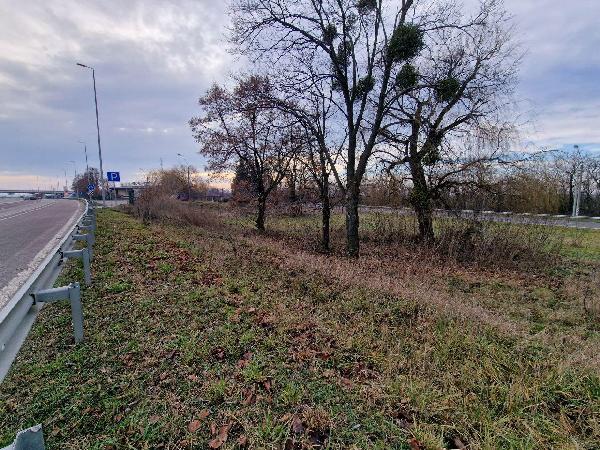 земля продам місто Біла Церква, фото 4 з 6