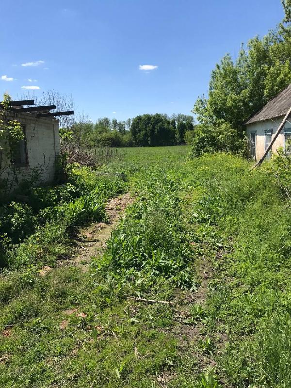земля продам село Запруддя, фото 3 з 4