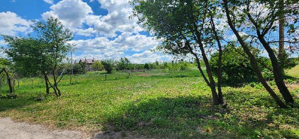 земля продам село Чишки, фото 2 з 6
