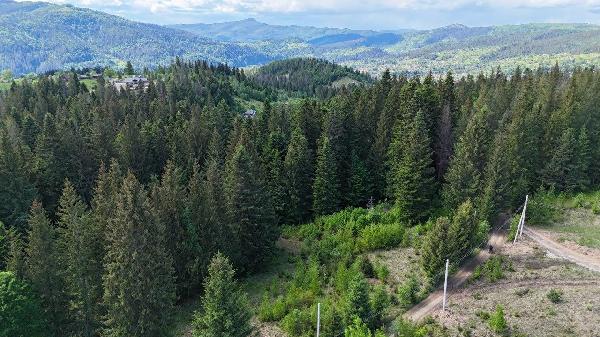 земля продам село Микуличин, фото 4 з 9