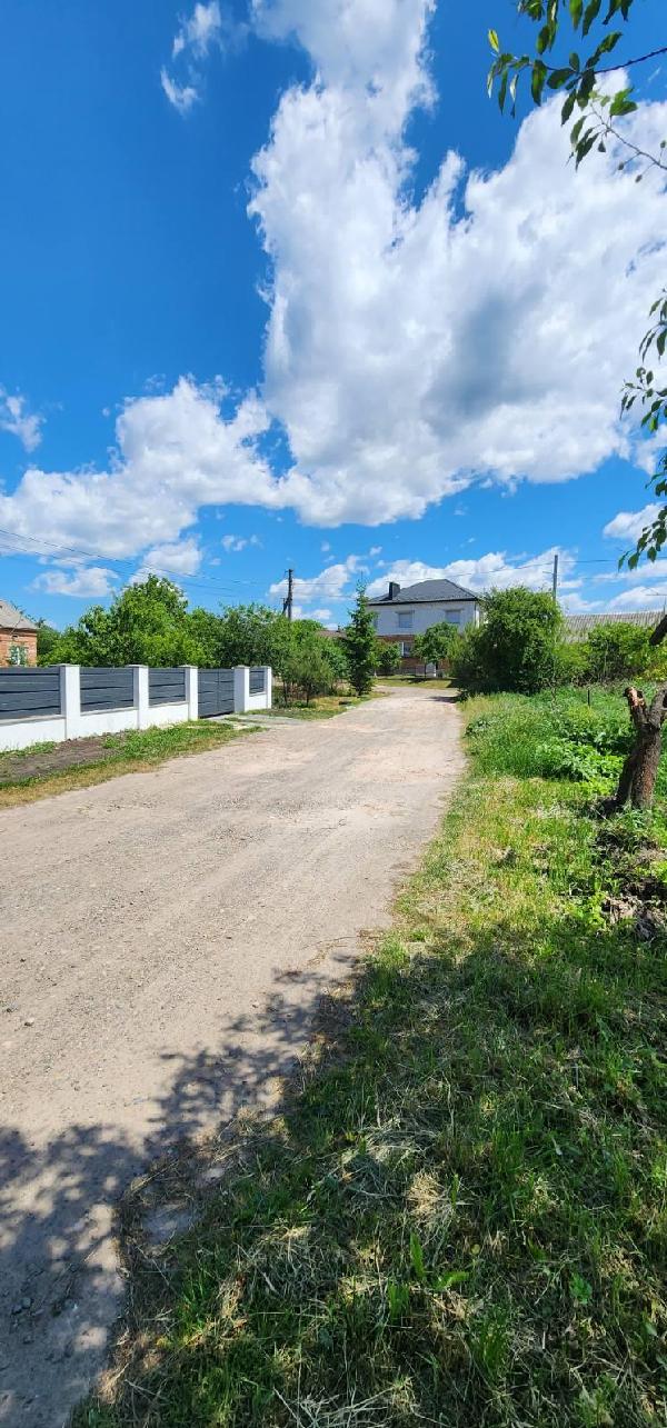 земля продам село Чишки, фото 5 з 6