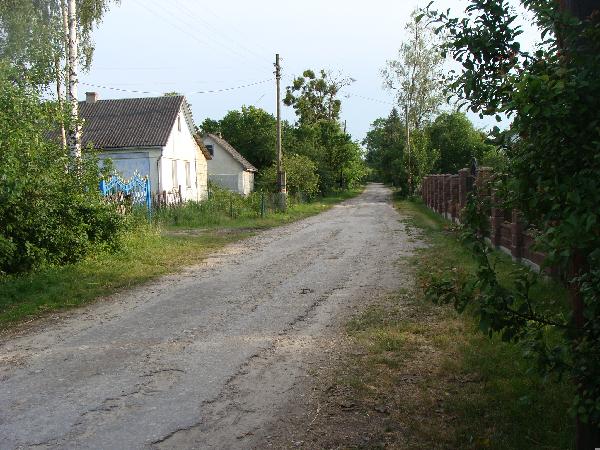 Дорога у селі (кам'яна) - фото нерухомості