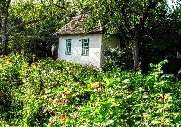 Будиночок з садом - фото нерухомості