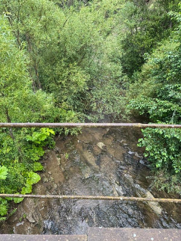 земля продам село Верхнє, фото 4 з 6