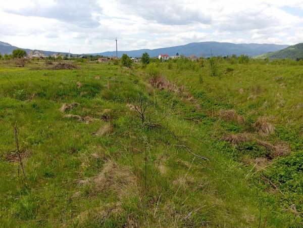 земля продам село Неліпино, фото 7 з 11