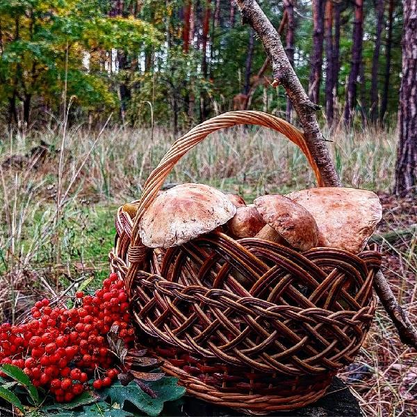  - фото нерухомості