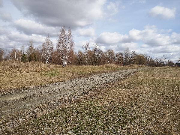 стан під'їзду до самої ділянки - фото нерухомості