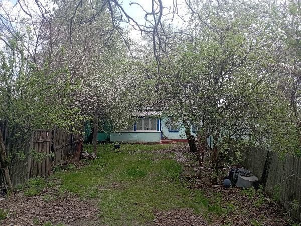  - фото нерухомості
