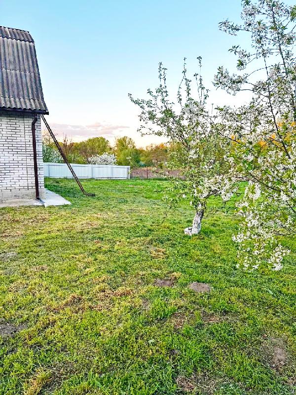  - фото нерухомості