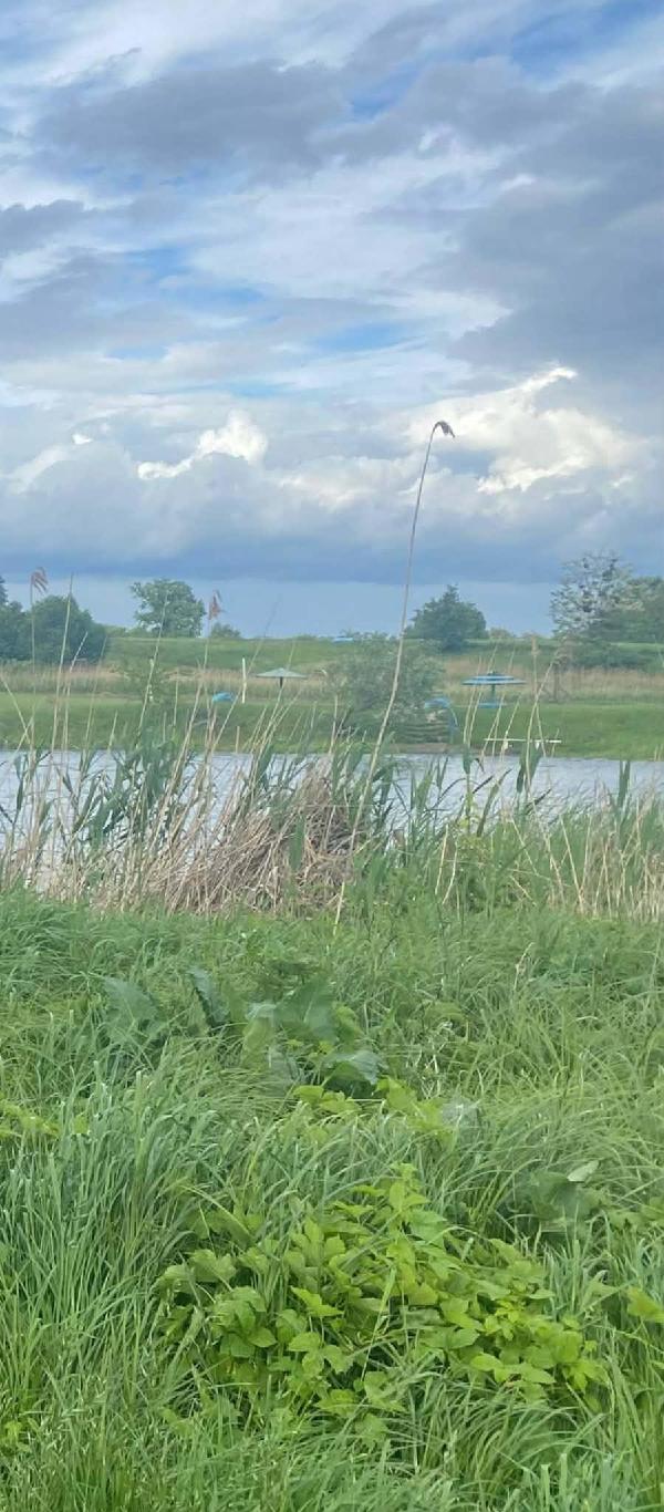 земля продам село Бовкун, фото 9 з 12