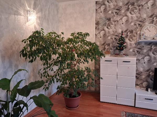  - фото нерухомості