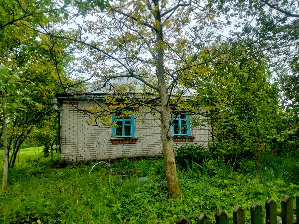 - фото нерухомості