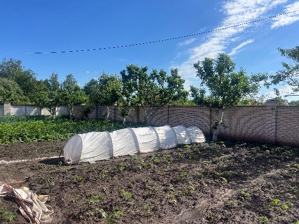  - фото нерухомості