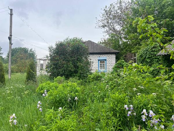  - фото нерухомості
