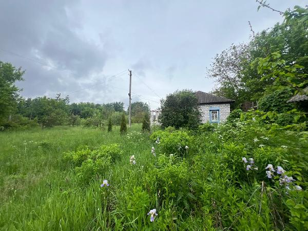 - фото нерухомості