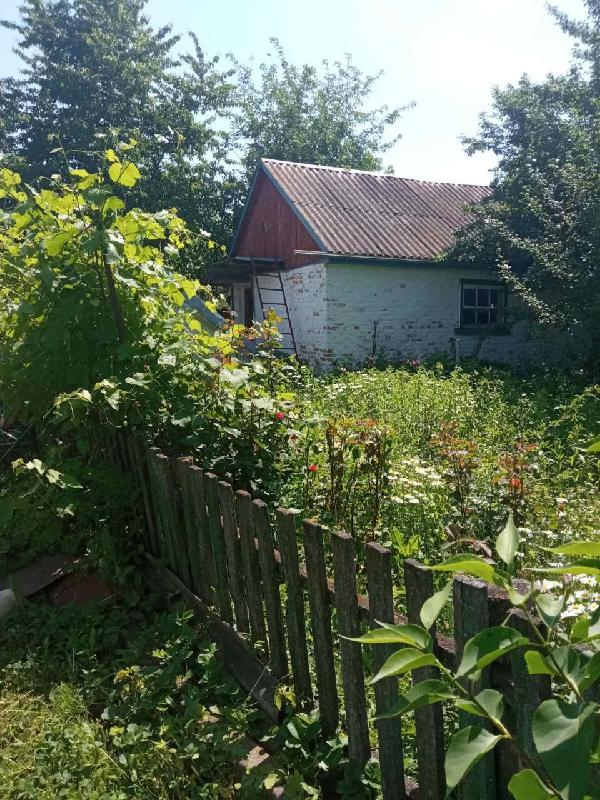  - фото нерухомості