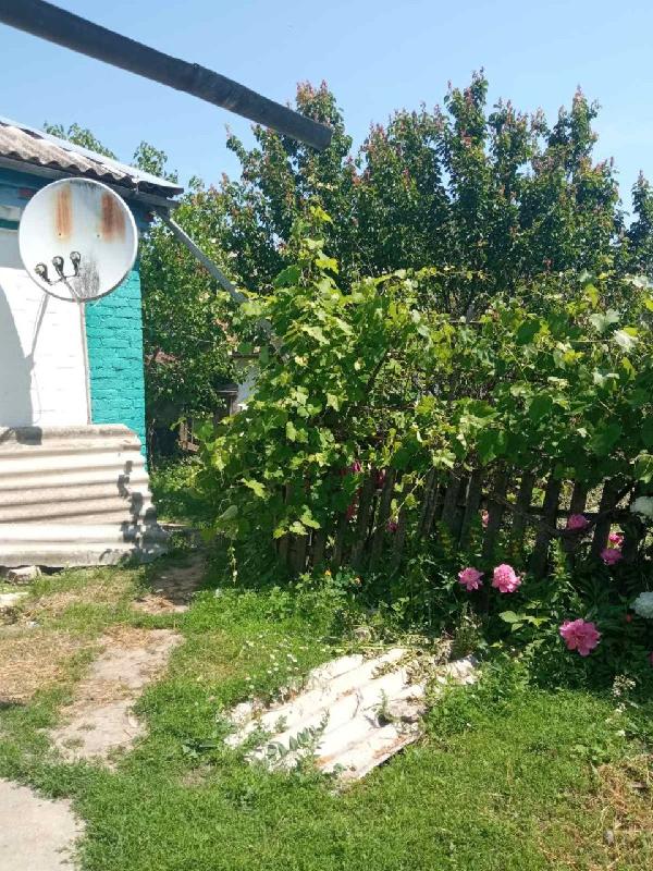  - фото нерухомості