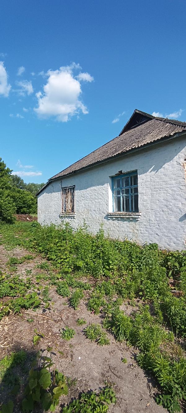  - фото нерухомості