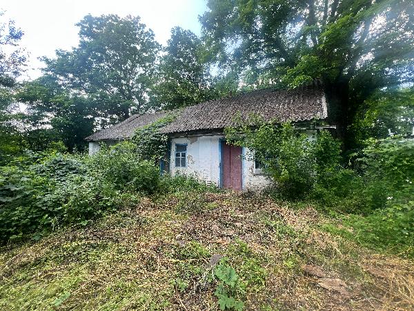  - фото нерухомості