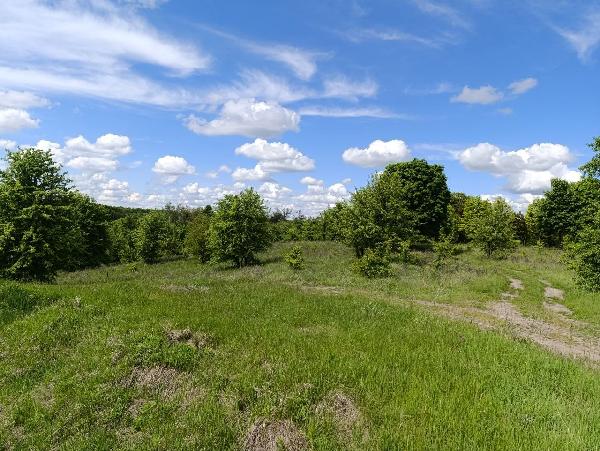  - фото нерухомості