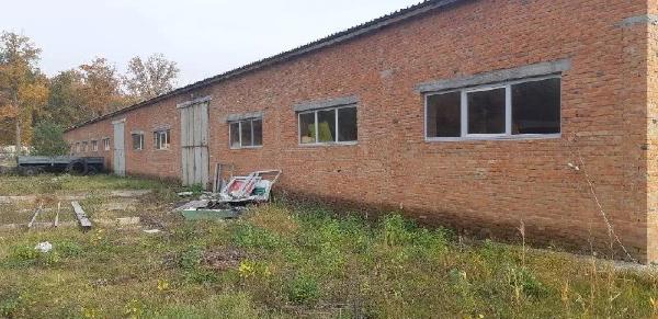  - фото нерухомості