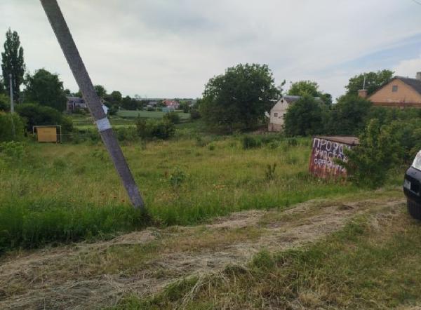  - фото нерухомості