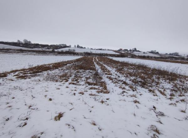  - фото нерухомості