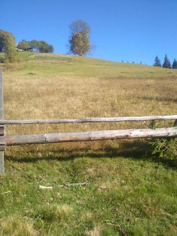  - фото нерухомості