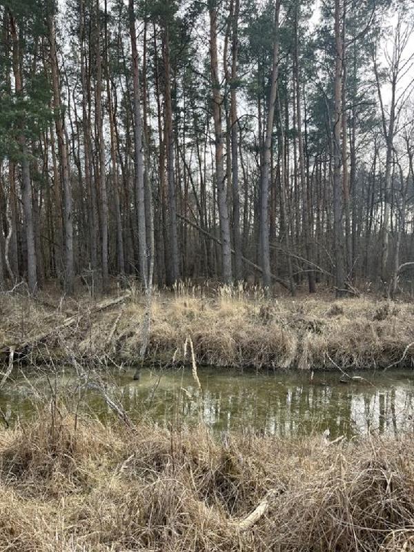 - фото нерухомості