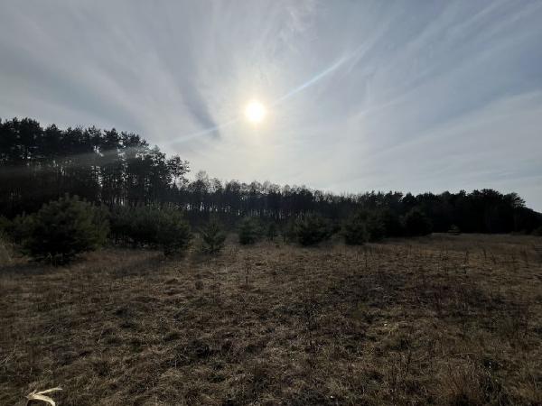  - фото нерухомості