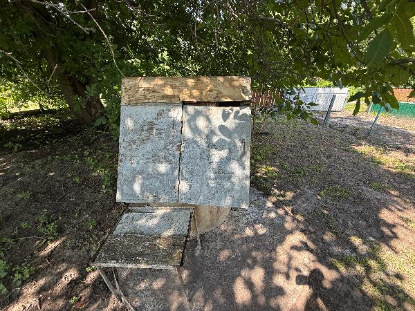  - фото нерухомості