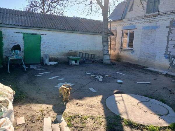  - фото нерухомості