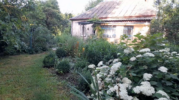  - фото нерухомості