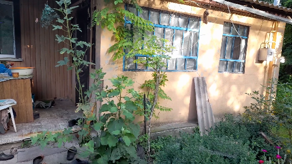  - фото нерухомості