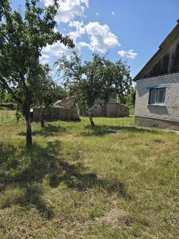  - фото нерухомості
