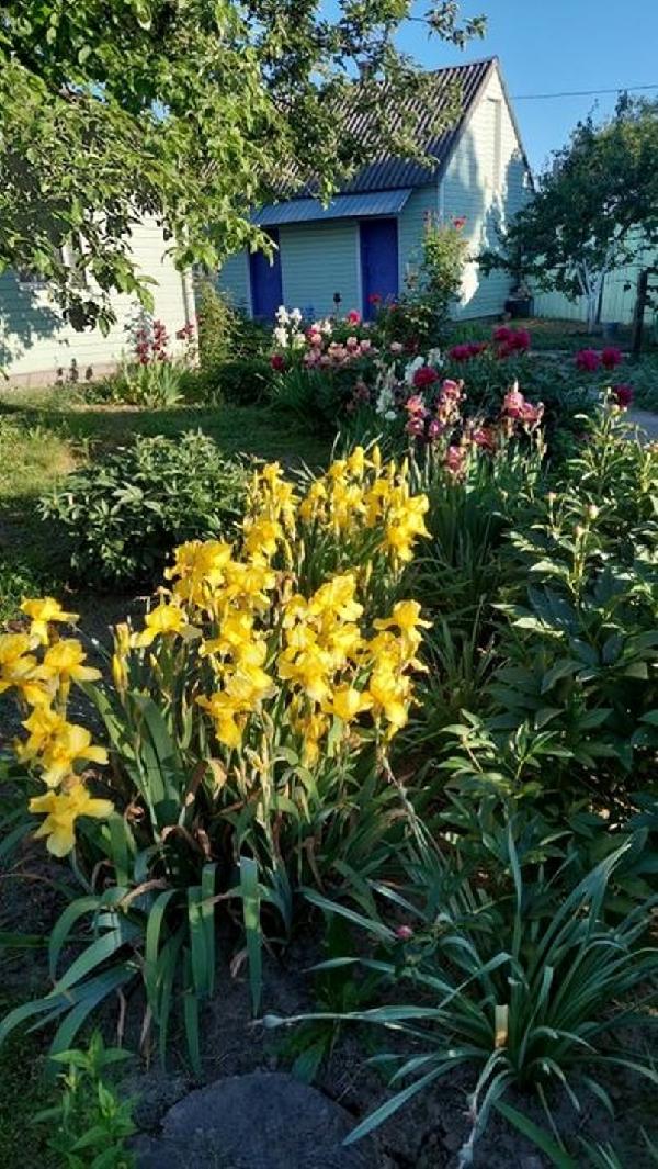  - фото нерухомості