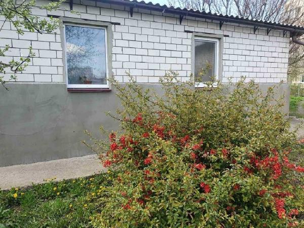  - фото нерухомості