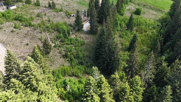земля продам село Микуличин, фото 5 з 7