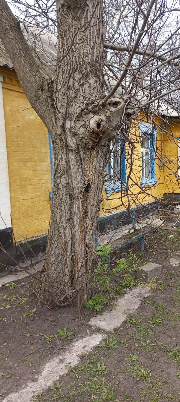  - фото нерухомості