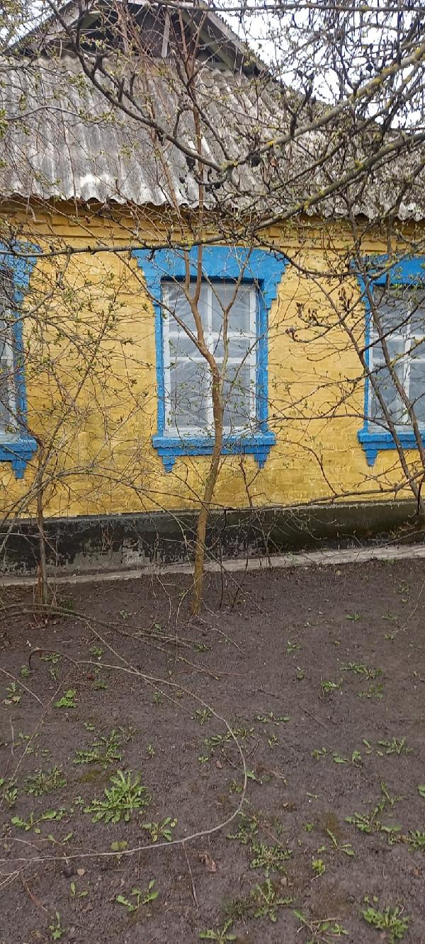 - фото нерухомості