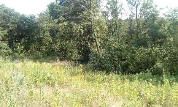  - фото нерухомості