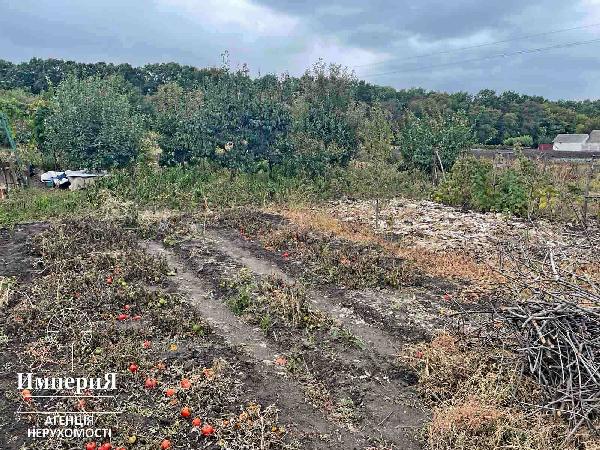  - фото нерухомості