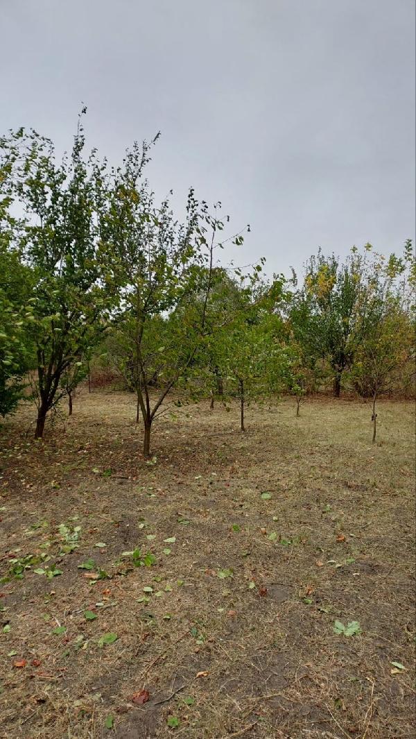  - фото нерухомості