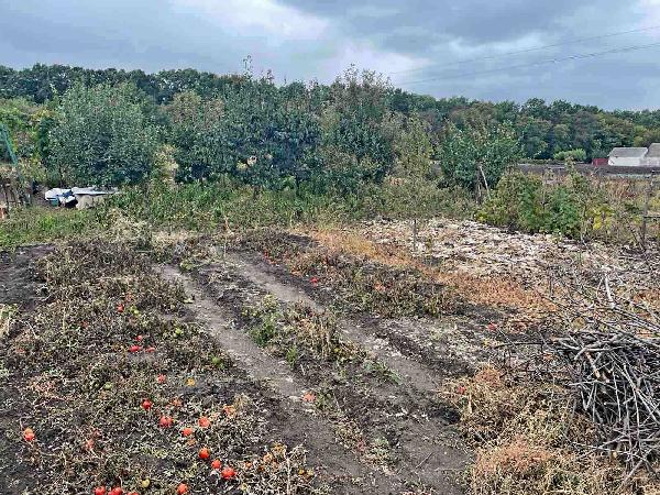  - фото нерухомості