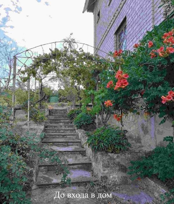  - фото нерухомості